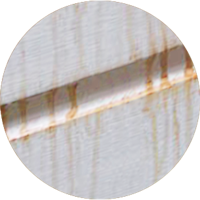 original_bloedend hardhout original_bloedend hardhout